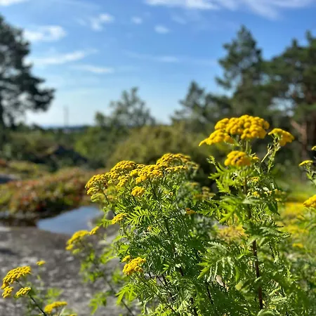 Charming 1970s At Risor, Oysang Nyaraló *