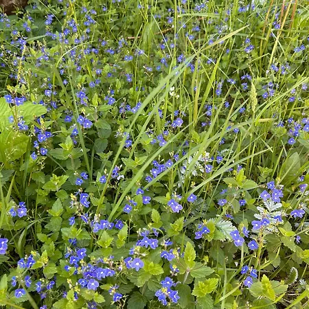 Charming 1970s At Risor, Oysang Nyaraló