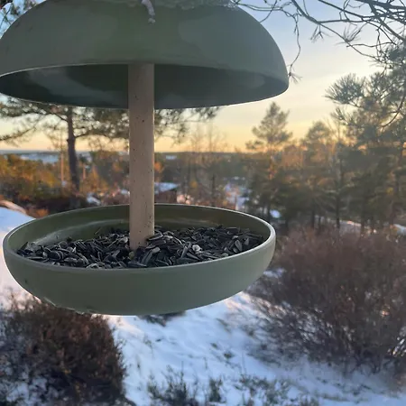 Charming 1970s At Risor, Oysang *